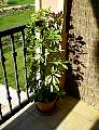 june0848.jpg