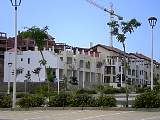 zjune0833.jpg