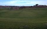 golf1-06.jpg