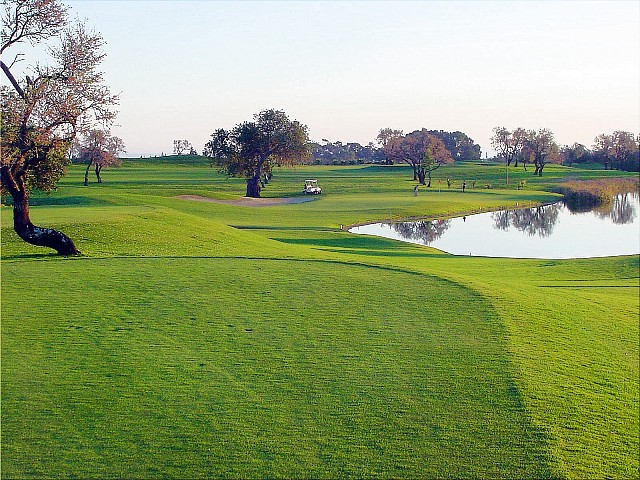 Quinta Da Ria